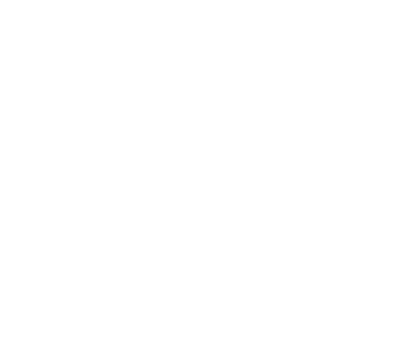 icone logo blanc